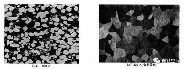 鈦及鈦合金金相術(shù)語及圖譜——α相詳解